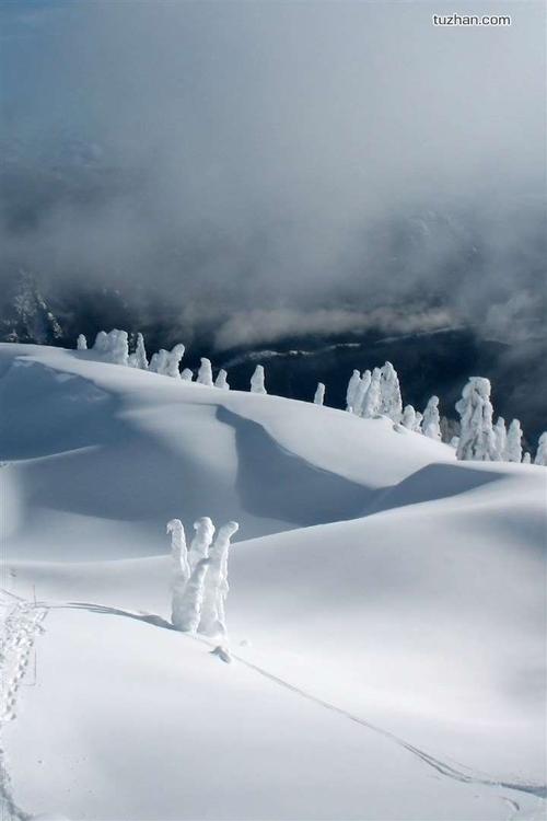 户口迁走了土地还有吗