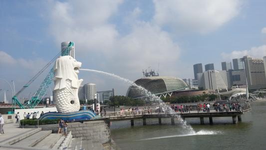 失信被执行人怎么解除