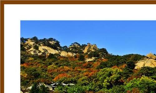 2020年(金融保险)复旦金融历年试题试题