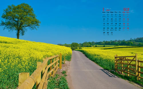 100首必听流行歌曲 (听一次哭一次的歌)