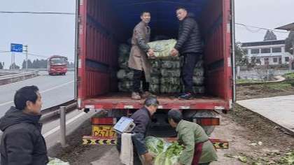 重庆大叔购60吨蔬菜送西安市民